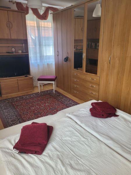 Ferienwohnung Korneuburg Bei Wien -1 Екстериор снимка